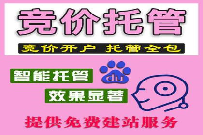 百度推广成本优化：成功案例分享